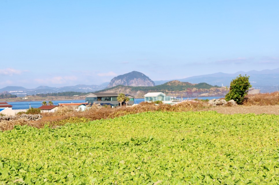 겨울 제주여행 추천 제주도 가파도 여행 배시간 볼거리 먹거리