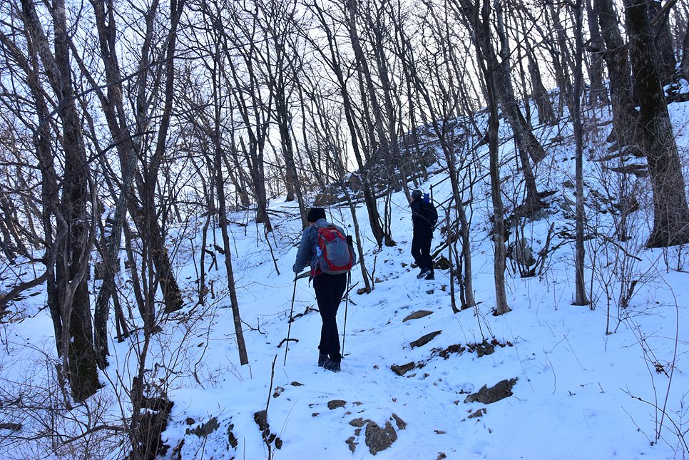 [월악산국립공원] 월악산, 은은한 운해와 명품송이 어우러진 겨울 비경을 즐기다 (12월 최종)