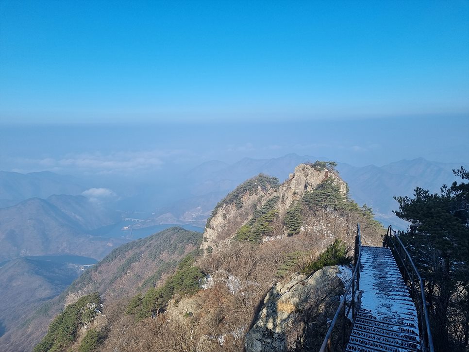 [월악산국립공원] 월악산, 은은한 운해와 명품송이 어우러진 겨울 비경을 즐기다 (12월 최종)