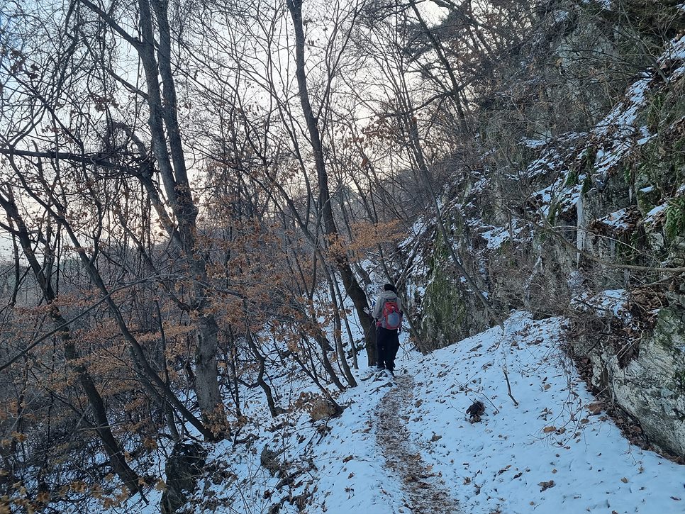 [월악산국립공원] 월악산, 은은한 운해와 명품송이 어우러진 겨울 비경을 즐기다 (12월 최종)