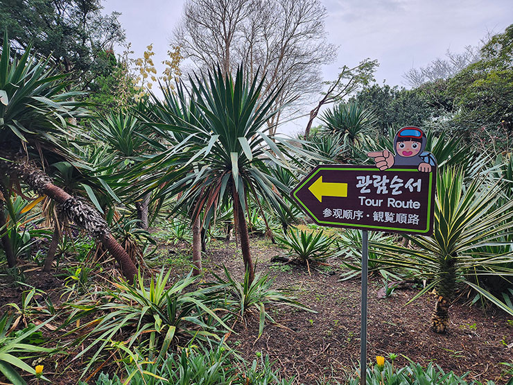 겨울 제주여행 추천 제주 한림공원 제주도 가볼 만한 곳