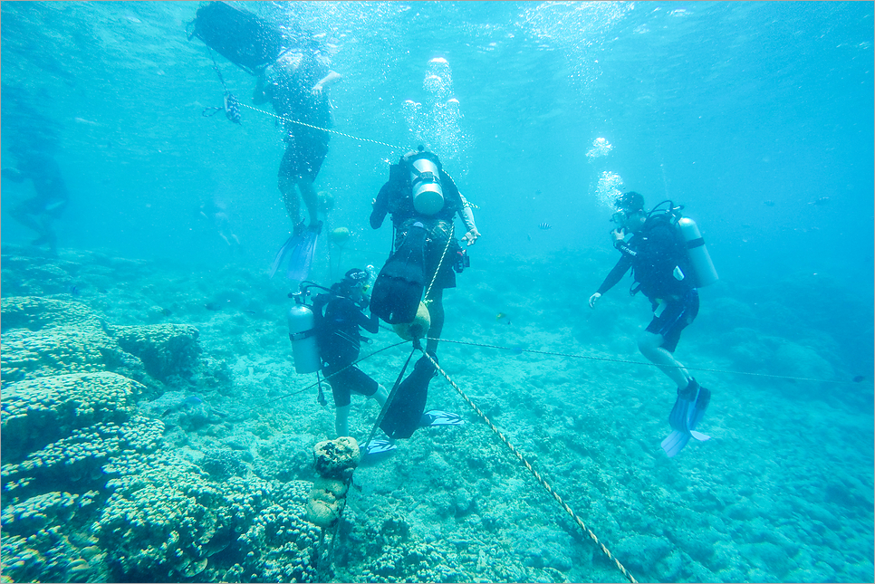 괌 액티비티 추천, 체험다이빙과 제트스키 괌 가족여행에 최고