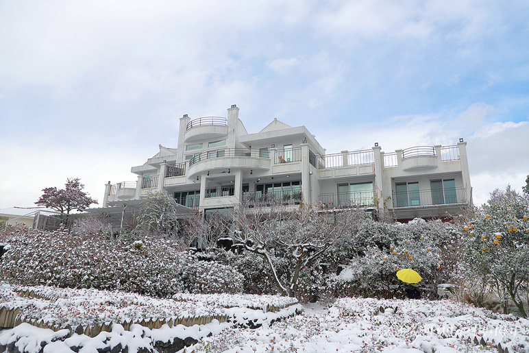 서귀포 여행 제주도 감귤체험 제주 귤따기체험 카페