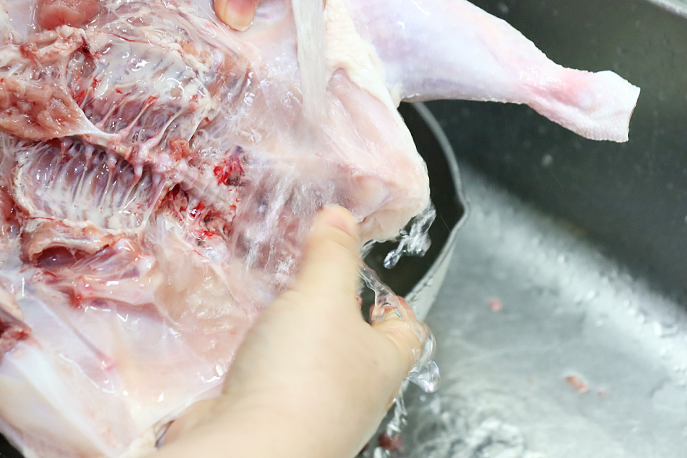 닭한마리 레시피 잔대 닭곰탕 만들기 압력솥 닭백숙 끓이는법 재료 겨울 보양식