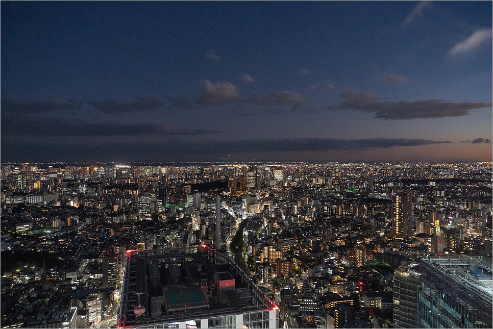 도쿄 시부야스카이 예약 일몰 시간 야경 도쿄여행