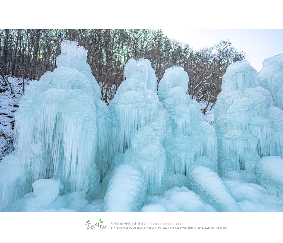 청양 알프스마을 눈썰매장 칠갑산 얼음분수축제 정보