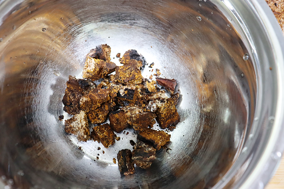 차가버섯 끓이는법 차가버섯차 건강음료 버섯요리 씻기 차가버섯 효능