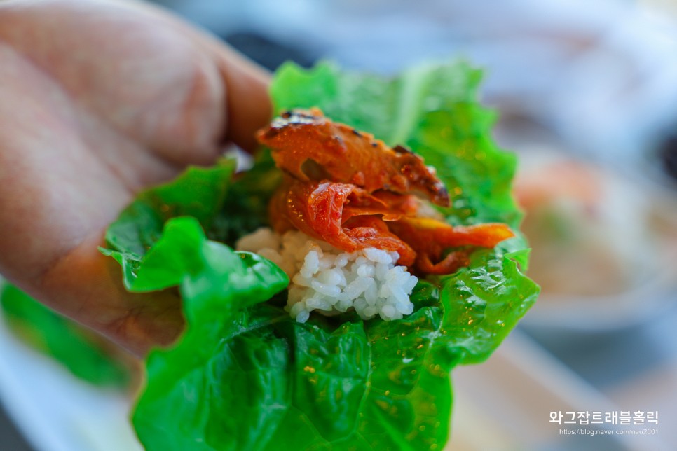 제주도 애월 맛집 제주 오션뷰 이춘옥 고등어쌈밥 나의 찐맛집