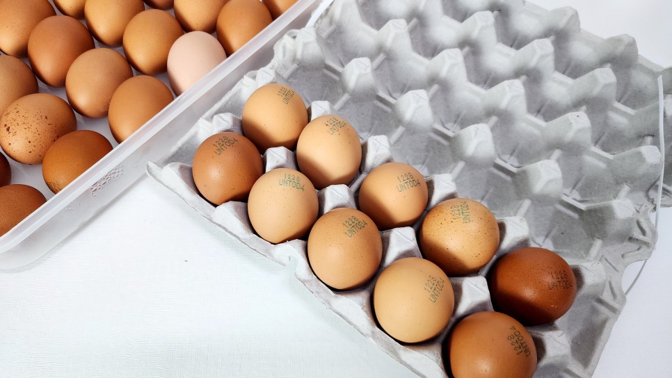 건강간식 압력밥솥 구운계란 만들기 훈제계란 맥반석계란 만드는법 계란요리