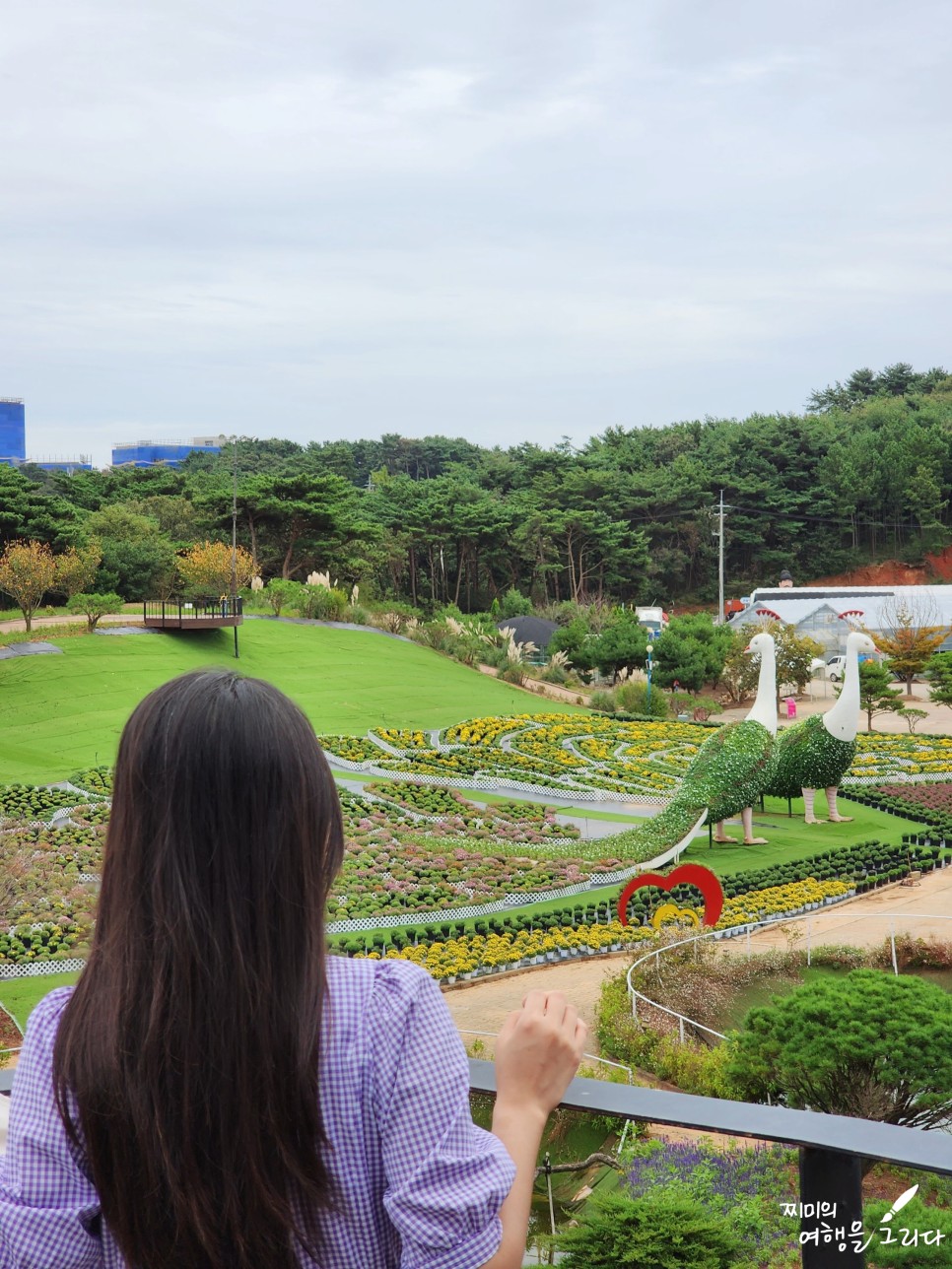 충남 태안 가볼만한곳 안면도 여행 코스 천리포수목원 청산수목원 코리아플라워파크 꽃지해수욕장