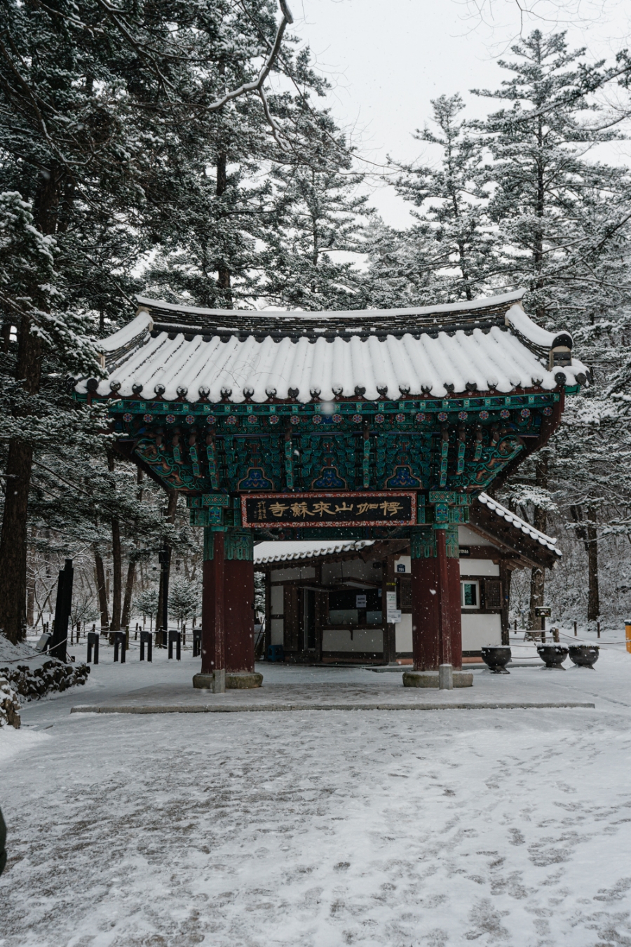 [변산반도국립공원] 전북 부안 내소사 전나무숲길 설경(12월)