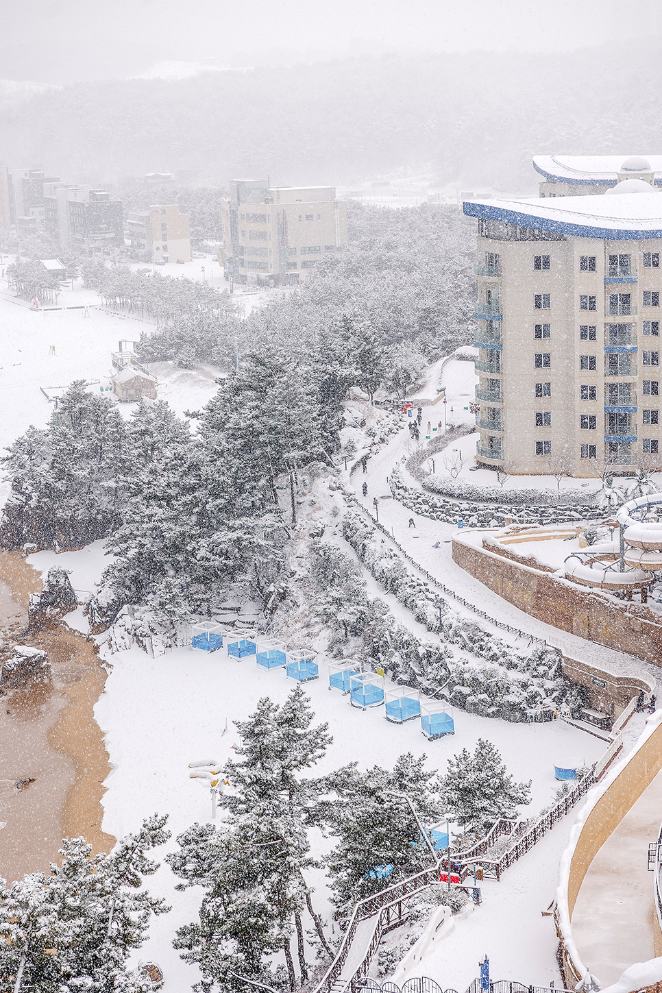 강원도 삼척 쏠비치 리조트 호텔 객실 및 조식, 설경까지(내돈내산)