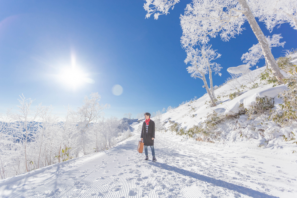 일본 북해도 여행 ❄ 훗카이도 호시노리조트 토마무 일본 스키여행