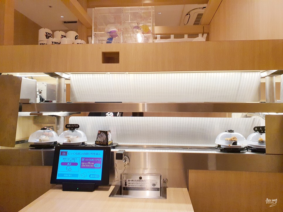 오사카 스시 맛집 가볼만한곳 난바역 도톤보리 쿠라스시 회전초밥