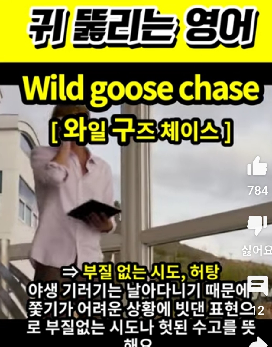 과천 할매와 귀 뚫리는 영어, 부질없는시도                     [와일 구즈 체이스]      Wild  goose  chase