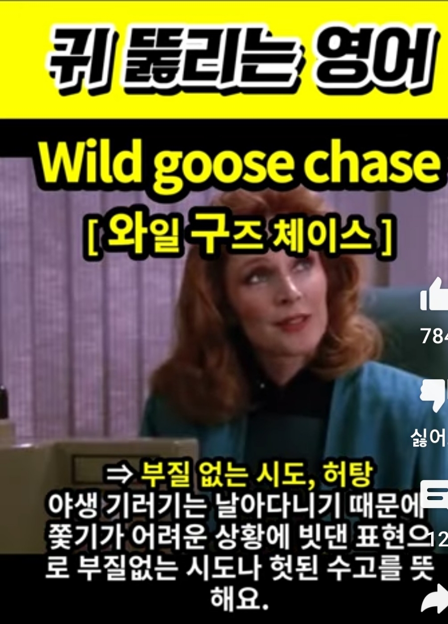 과천 할매와 귀 뚫리는 영어, 부질없는시도                     [와일 구즈 체이스]      Wild  goose  chase