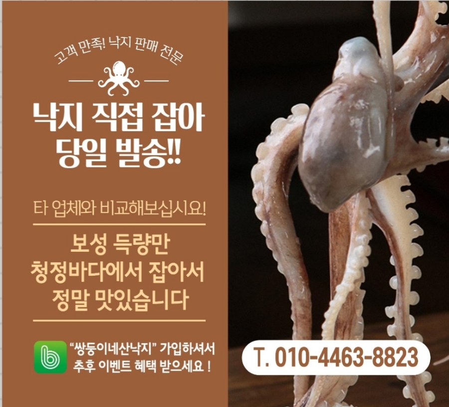 산낙지맛집, 보성낙지, 생물낙지 판매처 쌍둥이네산낙지