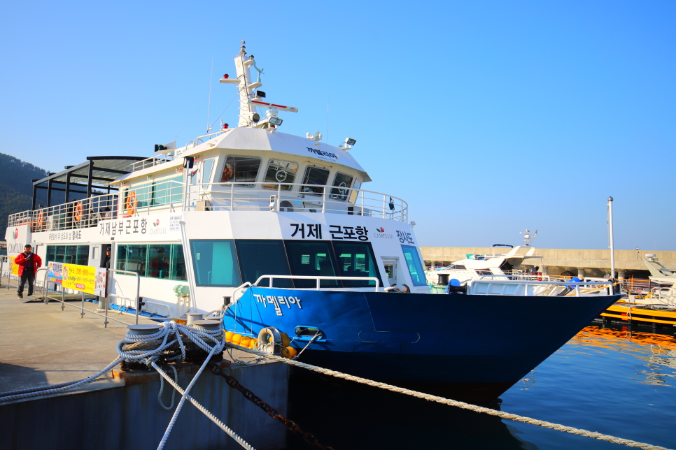 거제도 가볼만한곳 겨울 통영 장사도 해상공원 동백꽃 유람선 예약