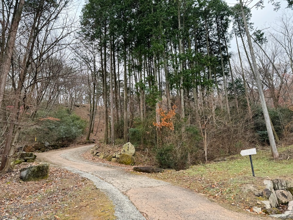 세계문화유산, 순천 조계산 선암사, 볼거리 많은 전통사찰