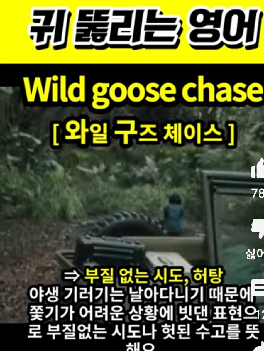 과천 할매와 귀 뚫리는 영어, 부질없는시도                     [와일 구즈 체이스]      Wild  goose  chase