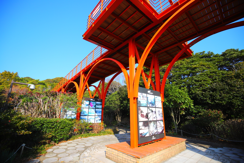 거제도 가볼만한곳 겨울 통영 장사도 해상공원 동백꽃 유람선 예약