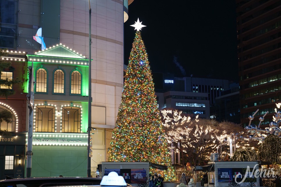 명동 신세계백화점 크리스마스 점등 시간 명동성당 볼거리 서울 데이트 가볼만한곳