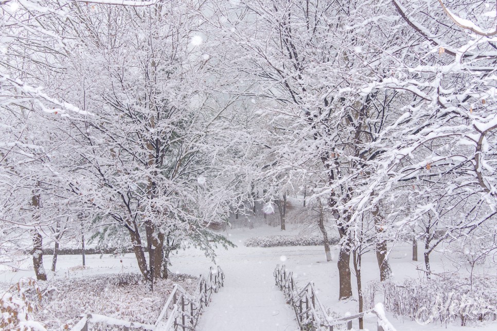 눈 내리는 서울숲 나들이 서울 겨울 데이트 코스
