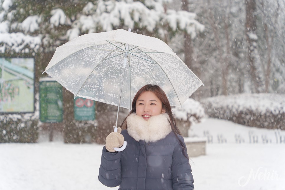 눈 내리는 서울숲 나들이 서울 겨울 데이트 코스