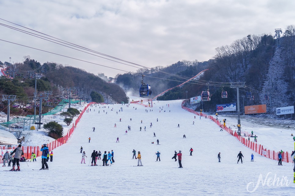 홍천 비발디파크 스키장 렌탈샵 추천 신상의류 간지렌탈샵 리프트권 가격 할인