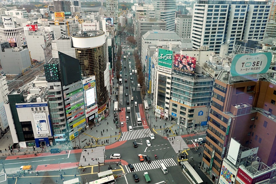 일본 도쿄 여행 가볼만한곳 시부야 스카이 예약 일몰시간 위치 가격
