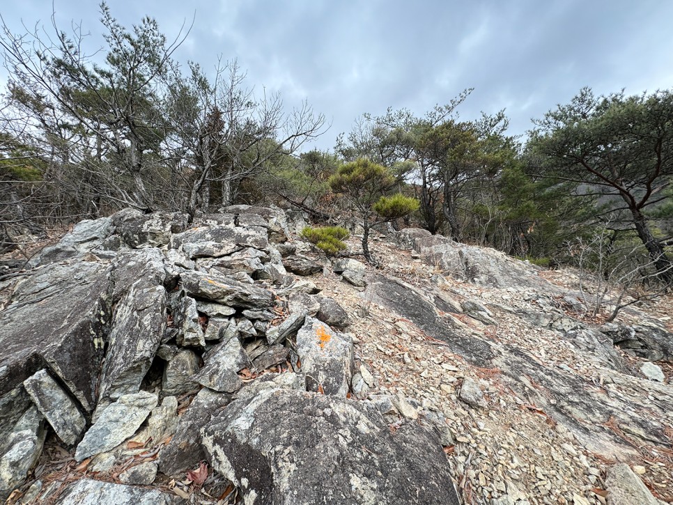 [301] 양산 토곡산, 토하고 곡하는 산이라고? (지장암 주차장 원점회귀)