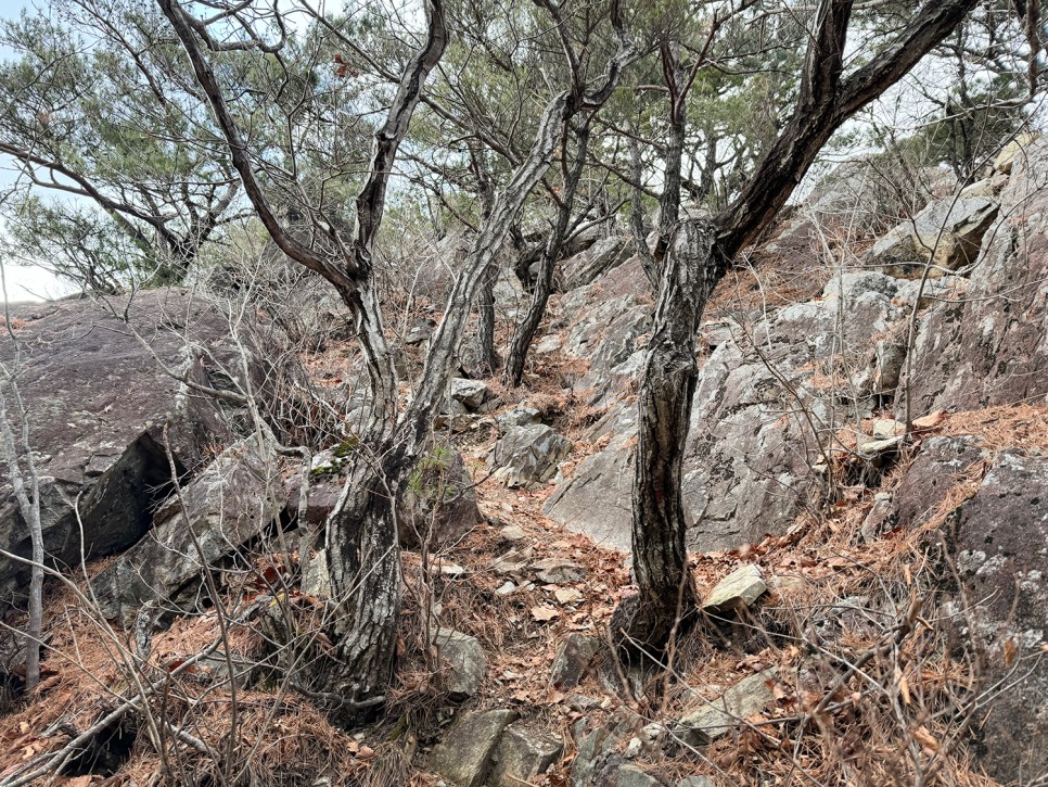 [301] 양산 토곡산, 토하고 곡하는 산이라고? (지장암 주차장 원점회귀)