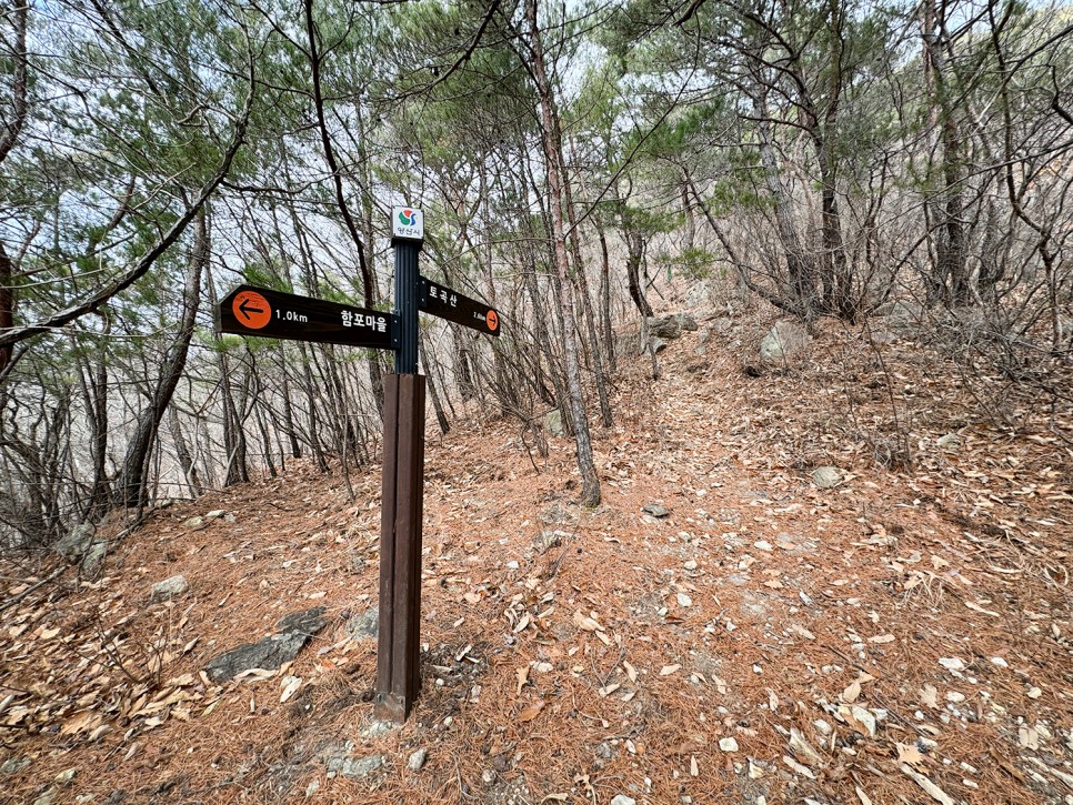 [301] 양산 토곡산, 토하고 곡하는 산이라고? (지장암 주차장 원점회귀)