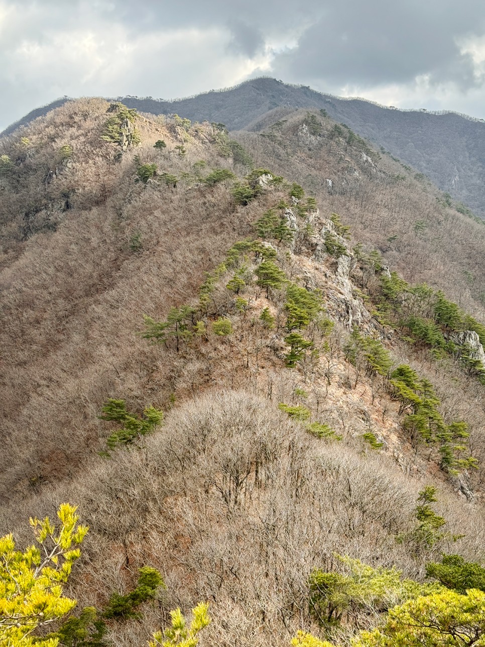 [301] 양산 토곡산, 토하고 곡하는 산이라고? (지장암 주차장 원점회귀)