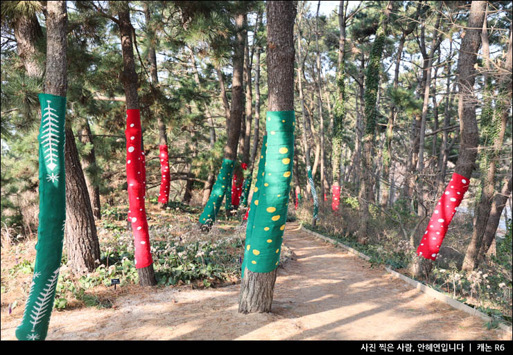 태안 가볼만한곳 천리포수목원 등 태안 여행 코스 추천