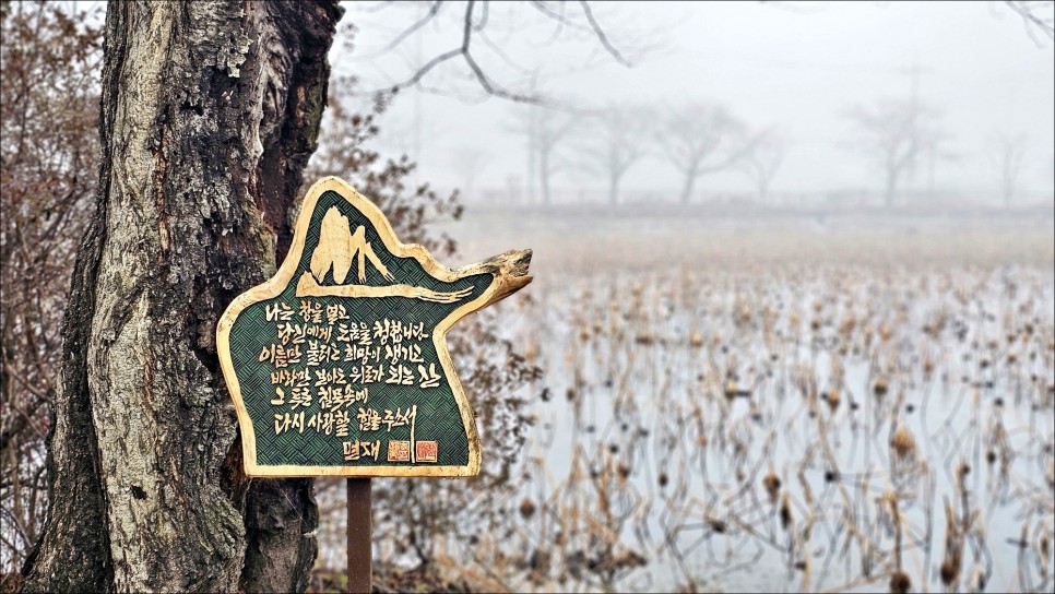 충남 나들이 당일치기 당진 가볼만한곳 면천읍성 군자정 골정지 당진 여행 코스!