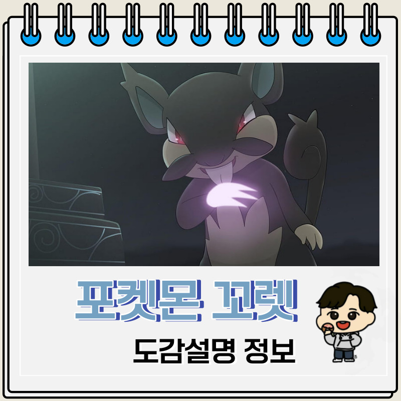 포켓몬스터 꼬렛 도감설명 정보