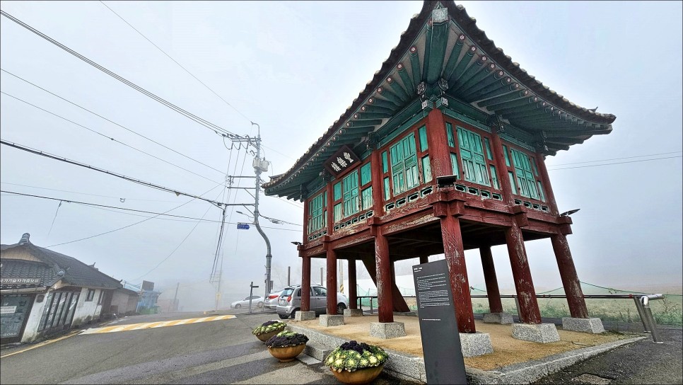 충남 나들이 당일치기 당진 가볼만한곳 면천읍성 군자정 골정지 당진 여행 코스!