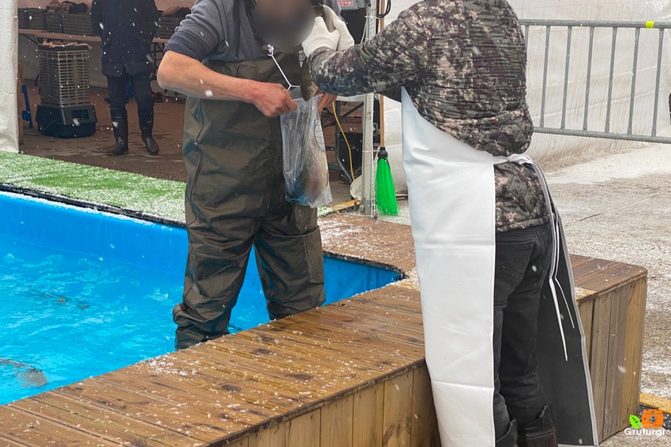 홍천 아이랑 홍천강 꽁꽁축제 얼음 낚시 인삼송어잡기