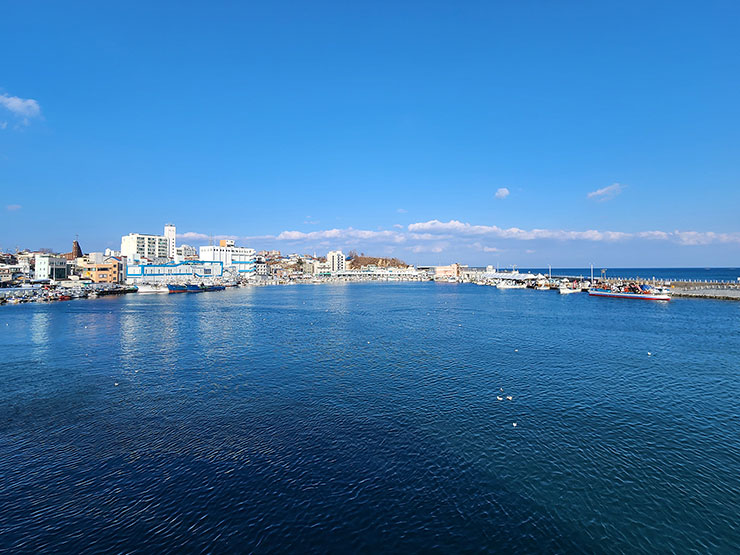 강원도 주문진 여행 주문진항 강릉 주문진 수산시장