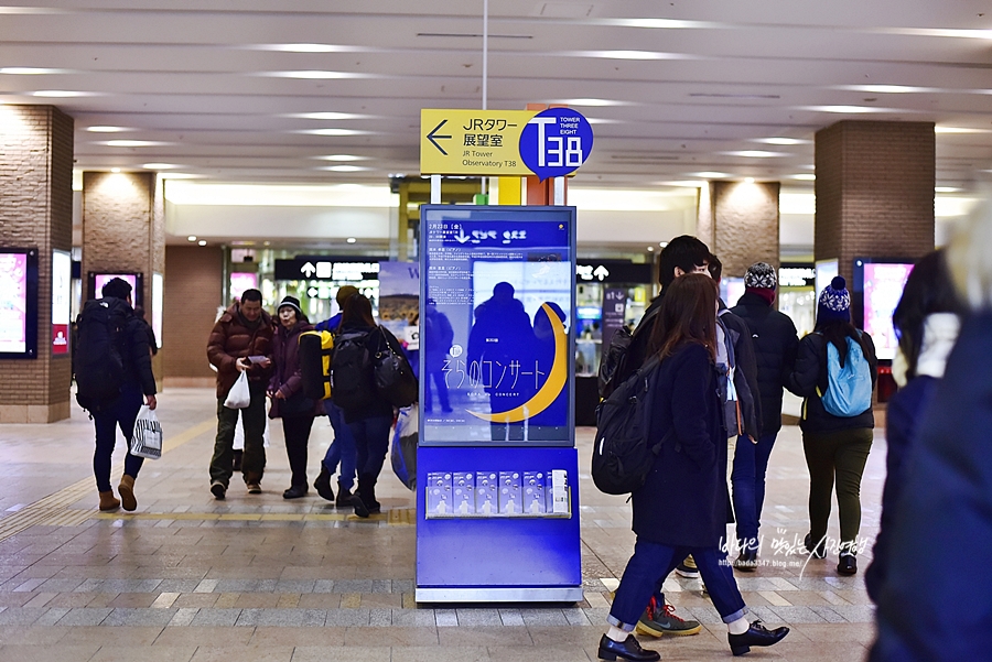 일본 겨울여행 북해도 삿포로 여행 가볼만한곳 오타루 운하 여행