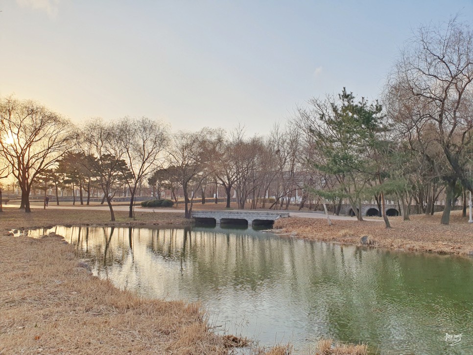 서울 어린이 가볼만한곳 상암 월드컵공원 평화의공원 서울에너지드림센터