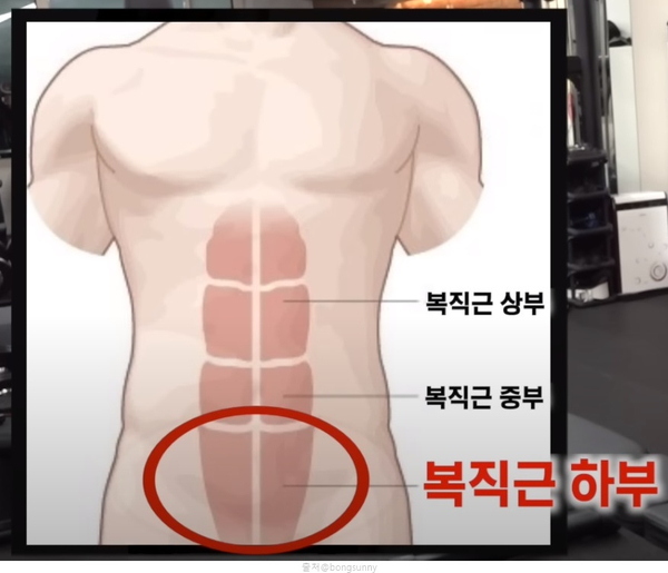 헬스장 헬스 복근운동 11자복근 루틴 운동기구 레그레이즈 바이시클크런치