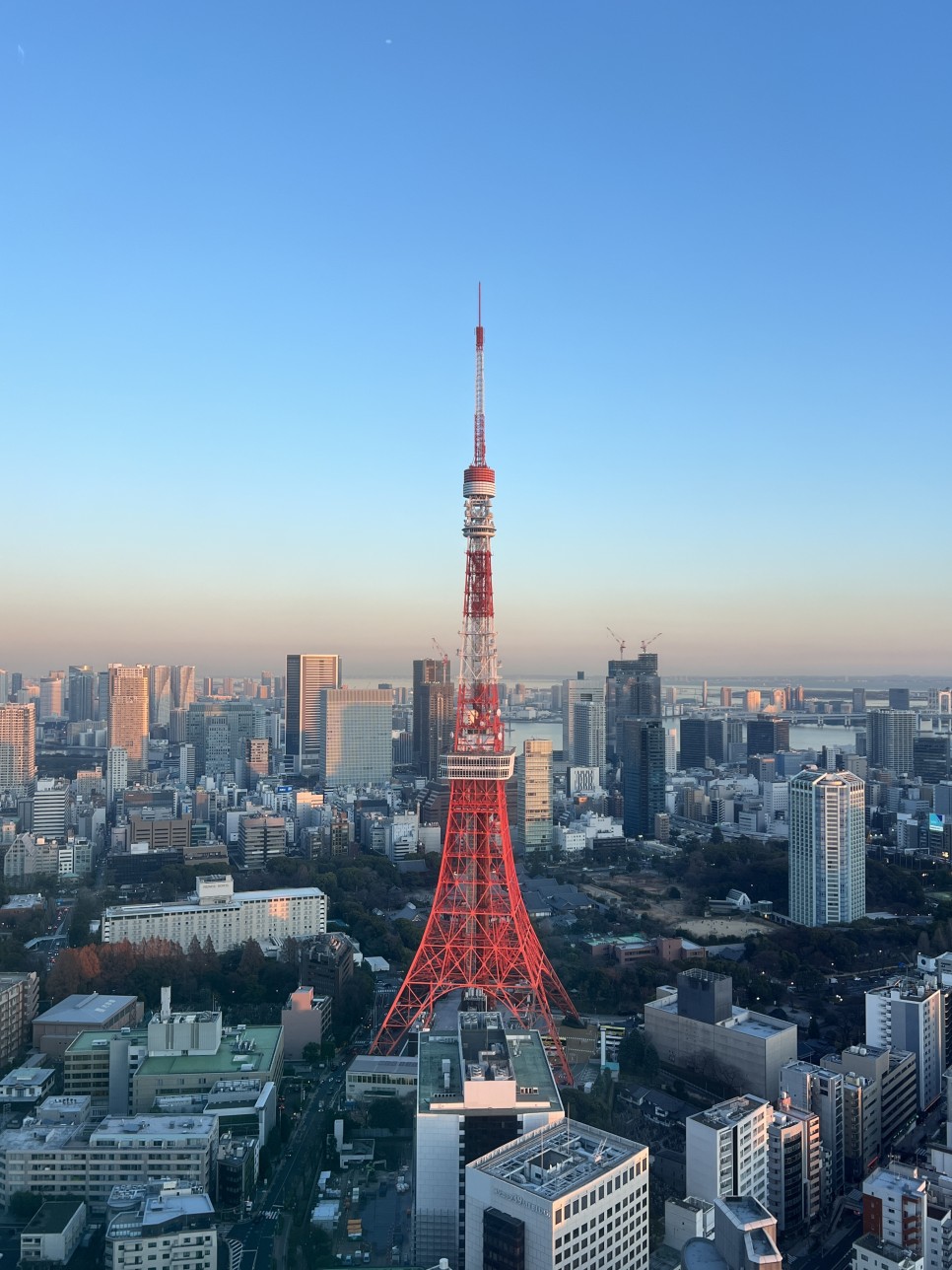 일본 도쿄여행 2박3일  도쿄타워, 아사쿠사, 도쿄 여행코스 1월 날씨