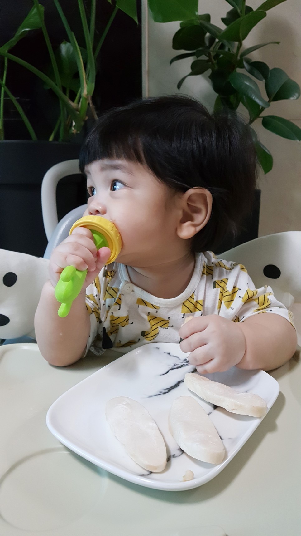 에시앙 아기의자 아기 백일때부터 잘 쓴 육아템