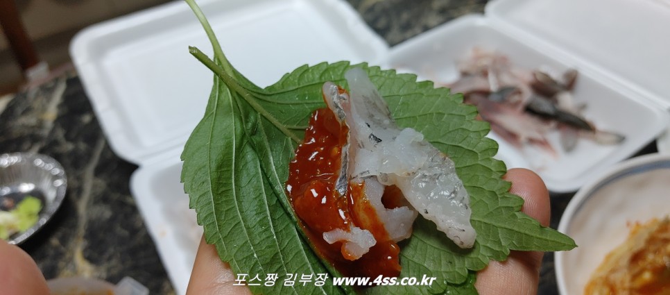 광안리 민락회센터 회포장 조은상회 찐단골 전어회먹기
