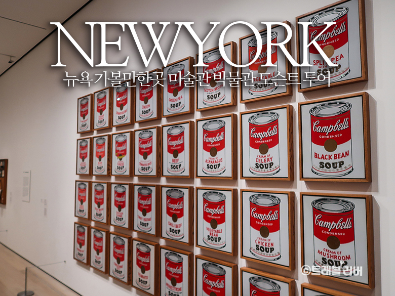 뉴욕 가볼만한곳 뉴욕 미술관 도슨트 투어 여행패스 하나로 준비