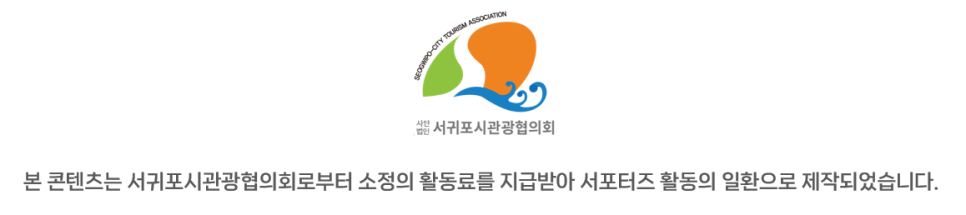 2024년 서귀포 겨울바다 국제펭귄수영대회 새해 첫날 제주 중문색달해수욕장 후기