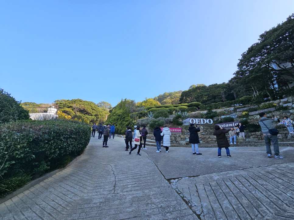 외도 유람선 추천 장승포 거제 해금강 외도 보타니아 여행