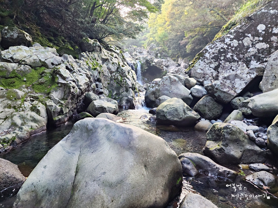 제주 돈내코 계곡 제주 원앙폭포 제주도 서귀포시 가볼만한곳